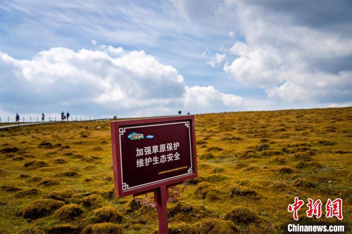 馬侖草原的修復治理以保護和自然修復為主。　馬夢迪 攝