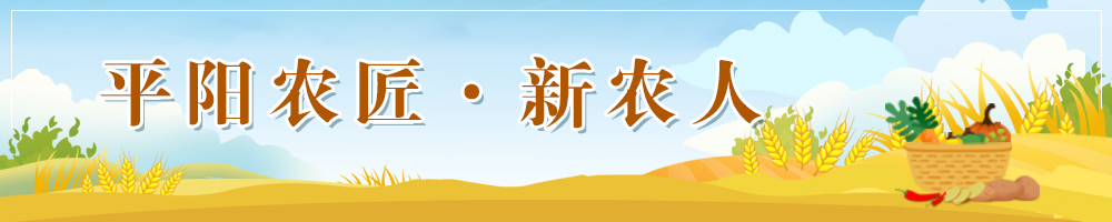 平陽(yáng)農(nóng)匠·新農(nóng)人 