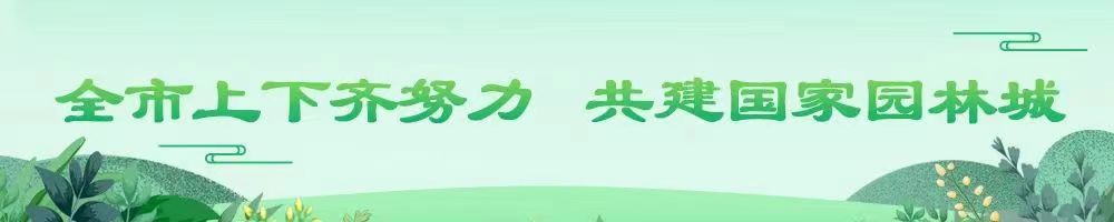 全市上下齊努力 共建國(guó)家園林城