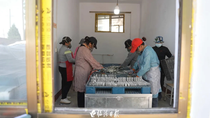 浮山閑置院變身“微工廠”~