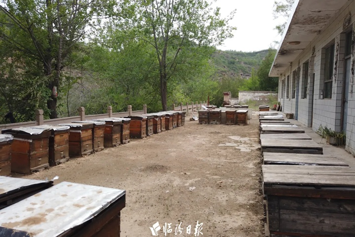 隰縣90后小伙，釀出“甜蜜”新生活！